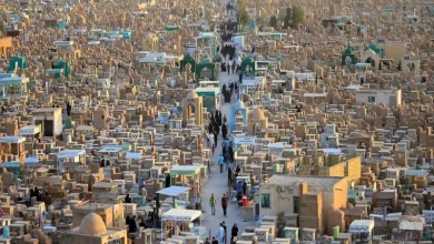 قبرستان وادی السلام نجف، بزرگترین قبرستان دنیا محل دفن پیامبران و علمای ایرانی
