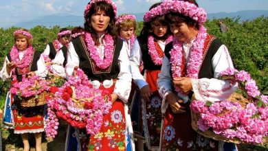 فستیوال گل رز در بلغارستان